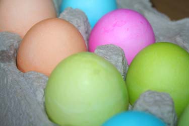 eggs