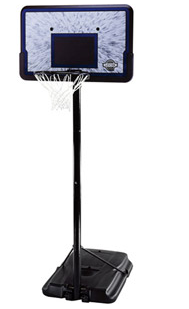 Pro Court Portable Basketball Hoop