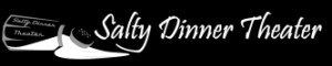 SDT-Logo-new-small1-300x60