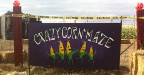 Utah Corn Maze coupons4utah