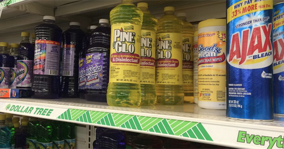 Dollar Store Cleaning Supplies