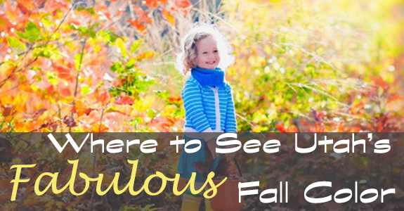 Utah's Fall Leaves