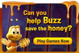 Honey Nut Cheerios