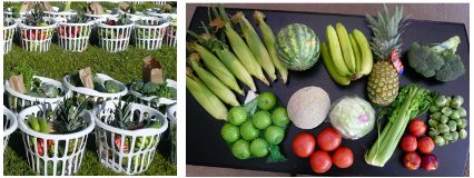 Bountiful Baskets
