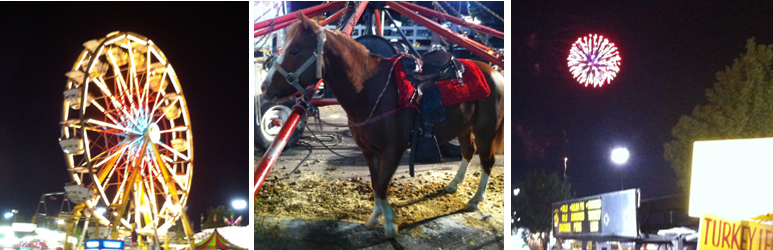 Utah State Fair 2012 Coupons4Utah 1