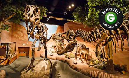 RackMultipart20130205-17252-14t28iz_grid_6 (1)