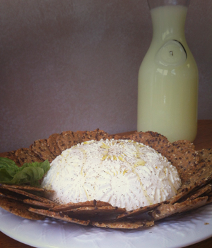 cheese1