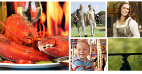 living social collage