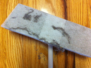 Alternative Uses for Dryer Sheets