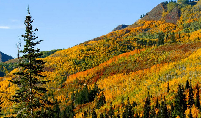 park city