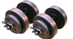 Gold s Gym 40 lb Vinyl Dumbbell Set Walmart.com