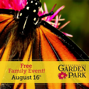 butterfly party