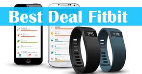 fitbit 289