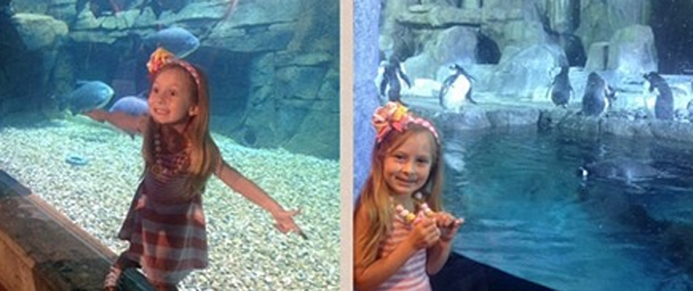 Aquarium Coupons4Utah