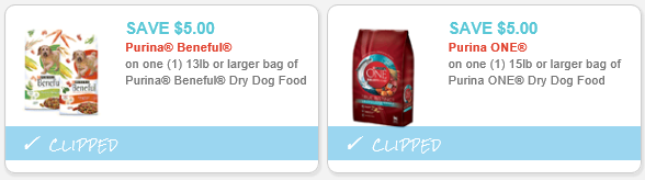 dog food