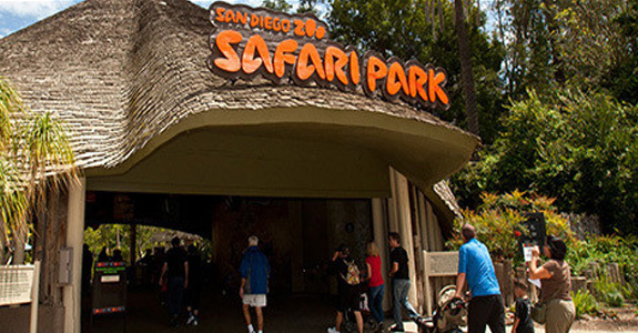 safari park