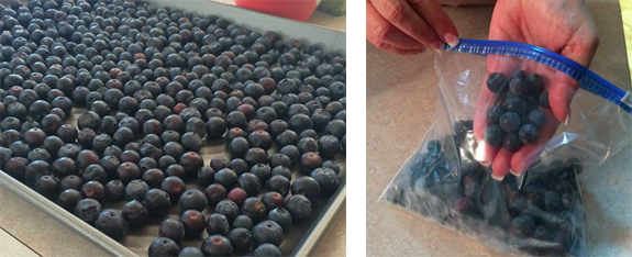 How to Freeze Berries