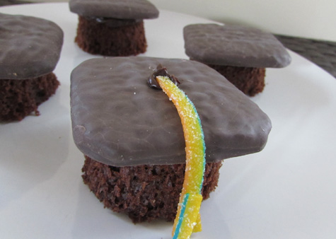 Graduation Cupcakes-Coupons4Utah