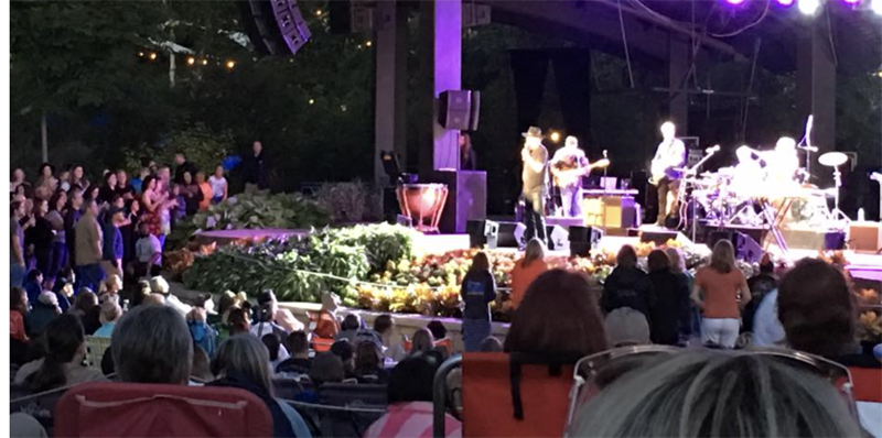 People at an outdoor concert