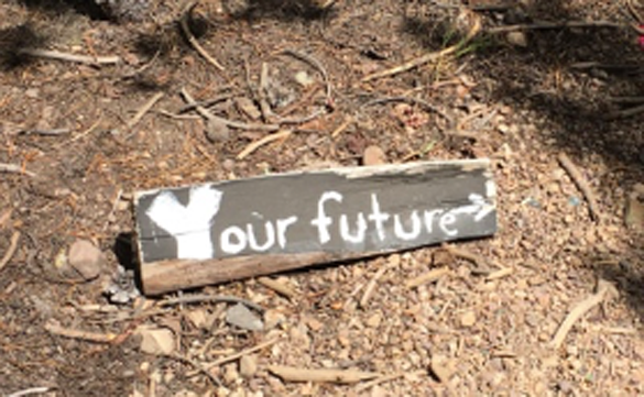 Fairy Forest Future