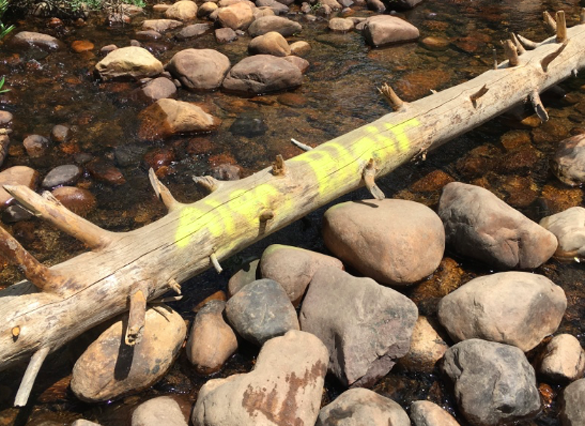 Grafitti in the woods of Utah