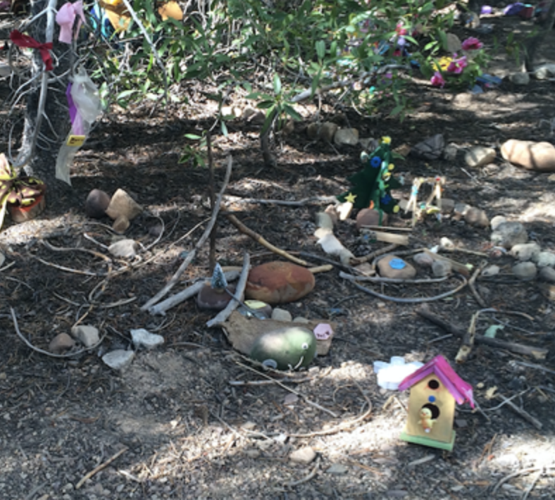 Cluttered Fairy Forest