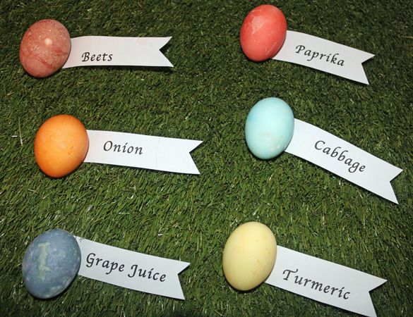 Easter Eggs Dyed with Natual Foods