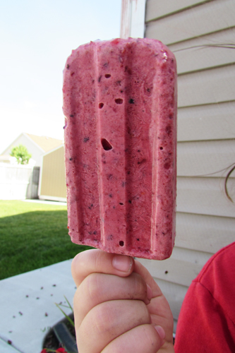 Close up berry popsicle