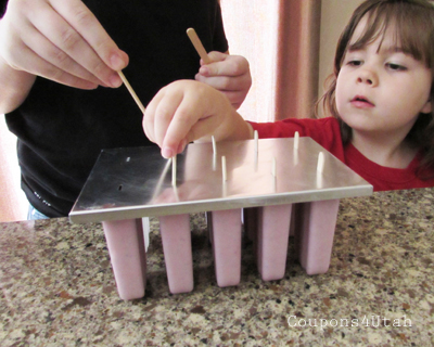 Popsicle Mold and sticks