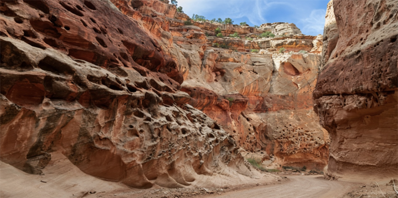 Striking honeycomb weathering and rock formations along the Tanks trail in Capitol Gorge, Capitol Reef National Park